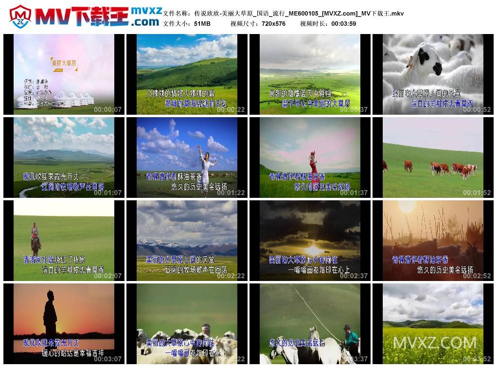 传说欣欣-美丽大草原_国语_流行_ME600105